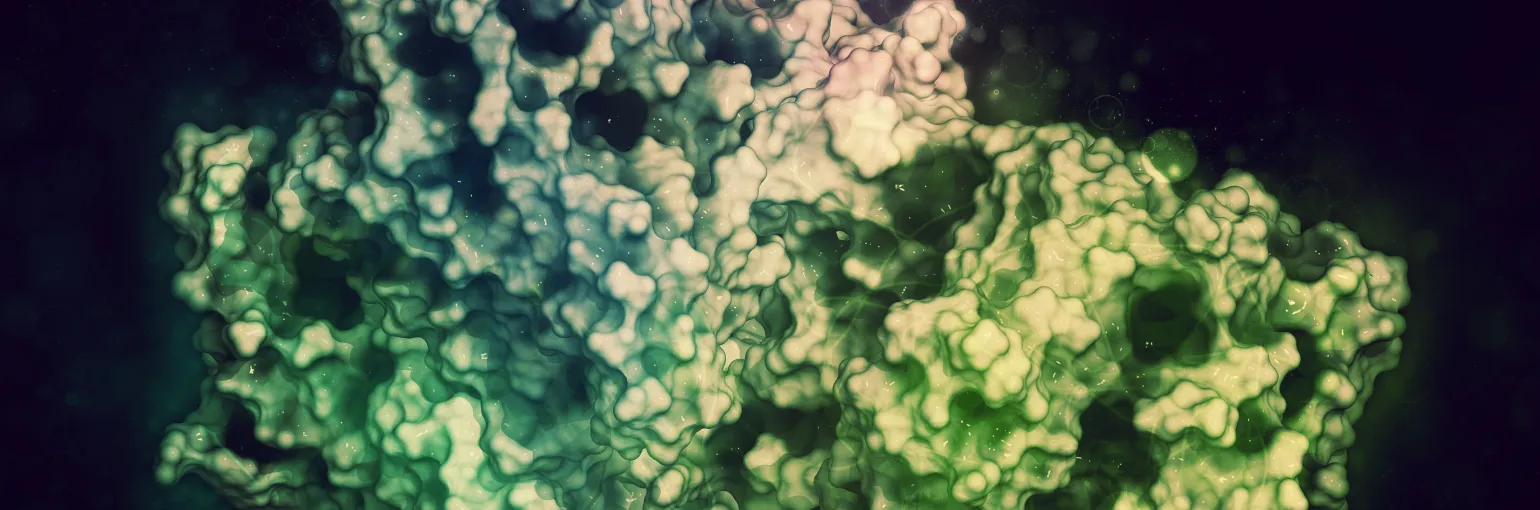 gamma secretase