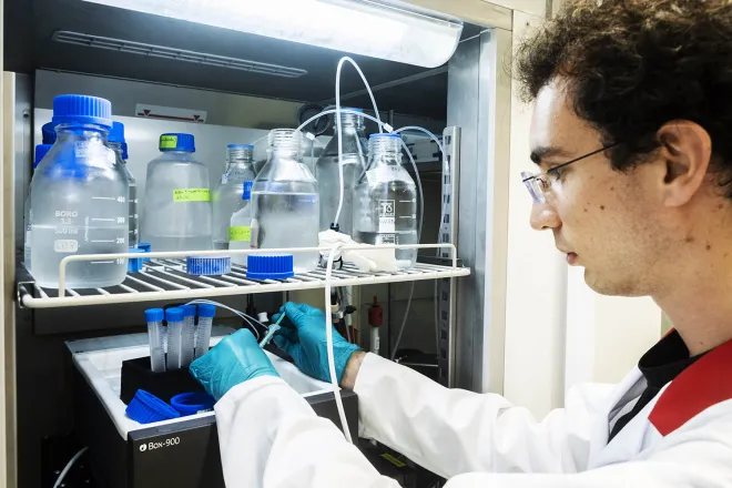 Chavez-Gutierrez lab